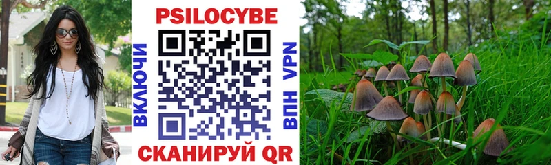 Псилоцибиновые грибы Psilocybe  как найти закладки  Нюрба 